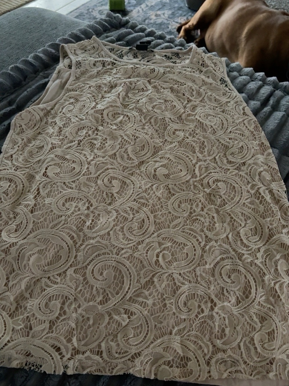 Adrianna Papell Ivory Paisley Lace Sleeveless Top Size L
Elegant sleeveless top